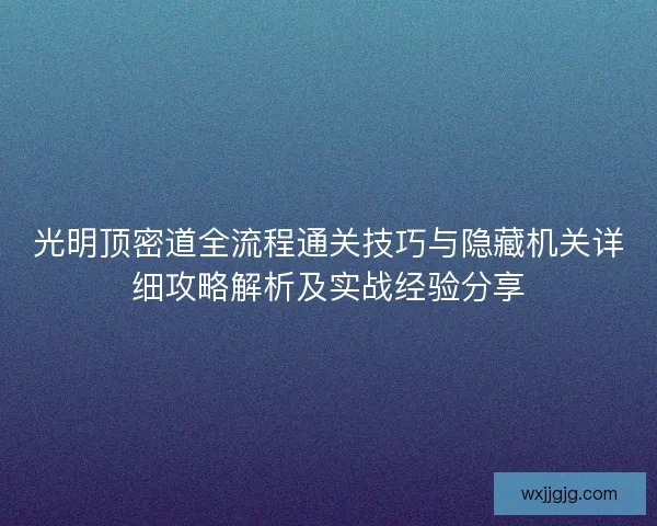 光明顶密道全流程通关技巧与隐藏机关详细攻略解析及实战经验分享 光明顶密道全流程通关技巧与隐藏机关详细攻略解析及实战经验分享