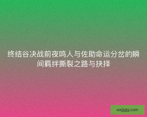 终结谷决战前夜鸣人与佐助命运分岔的瞬间羁绊撕裂之路与抉择